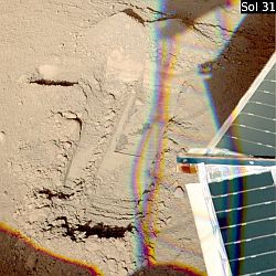 "Wonderland" an Sol 31