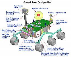 Rover