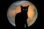 Midnight Mars Browser