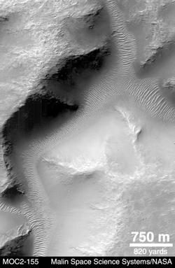 Terra Tyrrhena