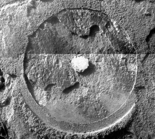 Sol 3146 Brush Resultat